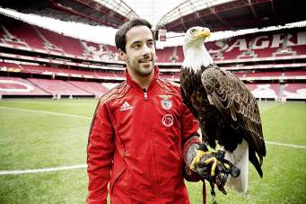 Vogelfrei: Benfica-Falkner André Rodrigues mit Gloriosa, einem der beiden Adler des Fußballvereins